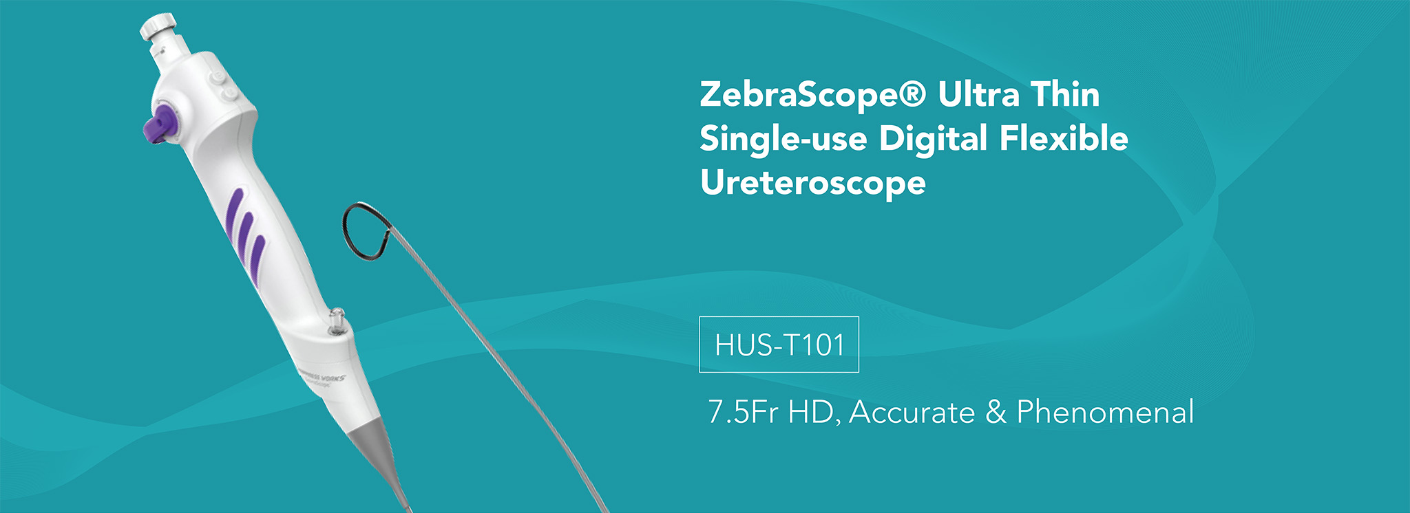 ZebraScope® Single Use Digital Flexible Ureteroscope (7.5F) - Buy ...