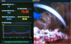 Renal Pressure Monitoring Processor HV-M200